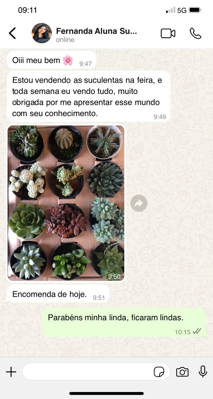 Print WhatsApp 01 - depoimento de aluna