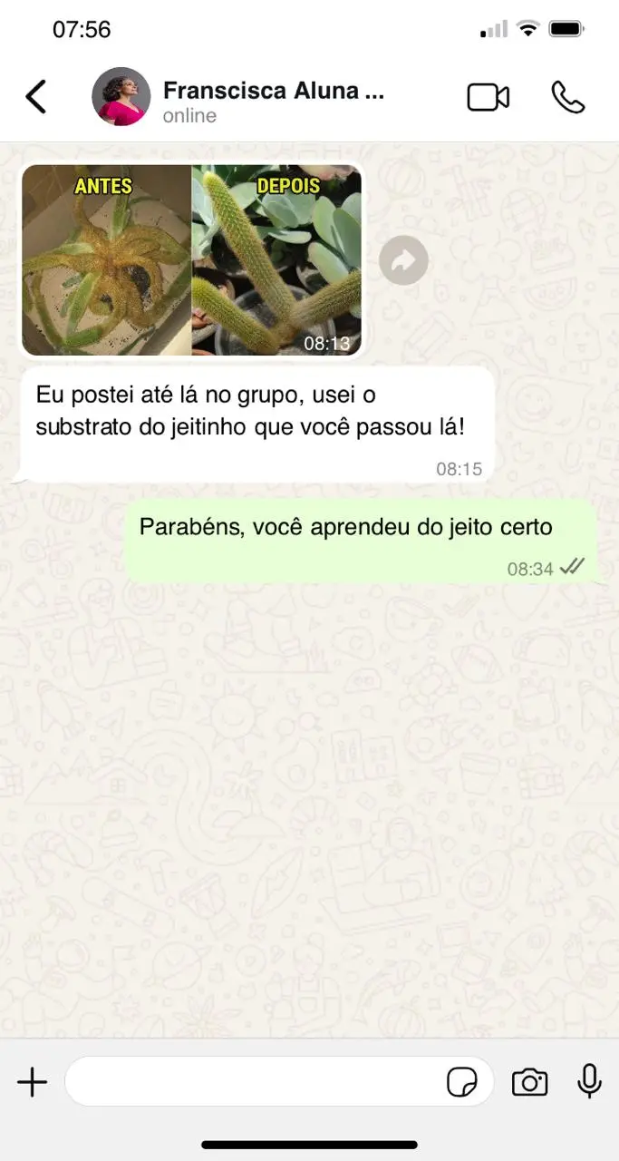Print WhatsApp 02 - depoimento de aluna