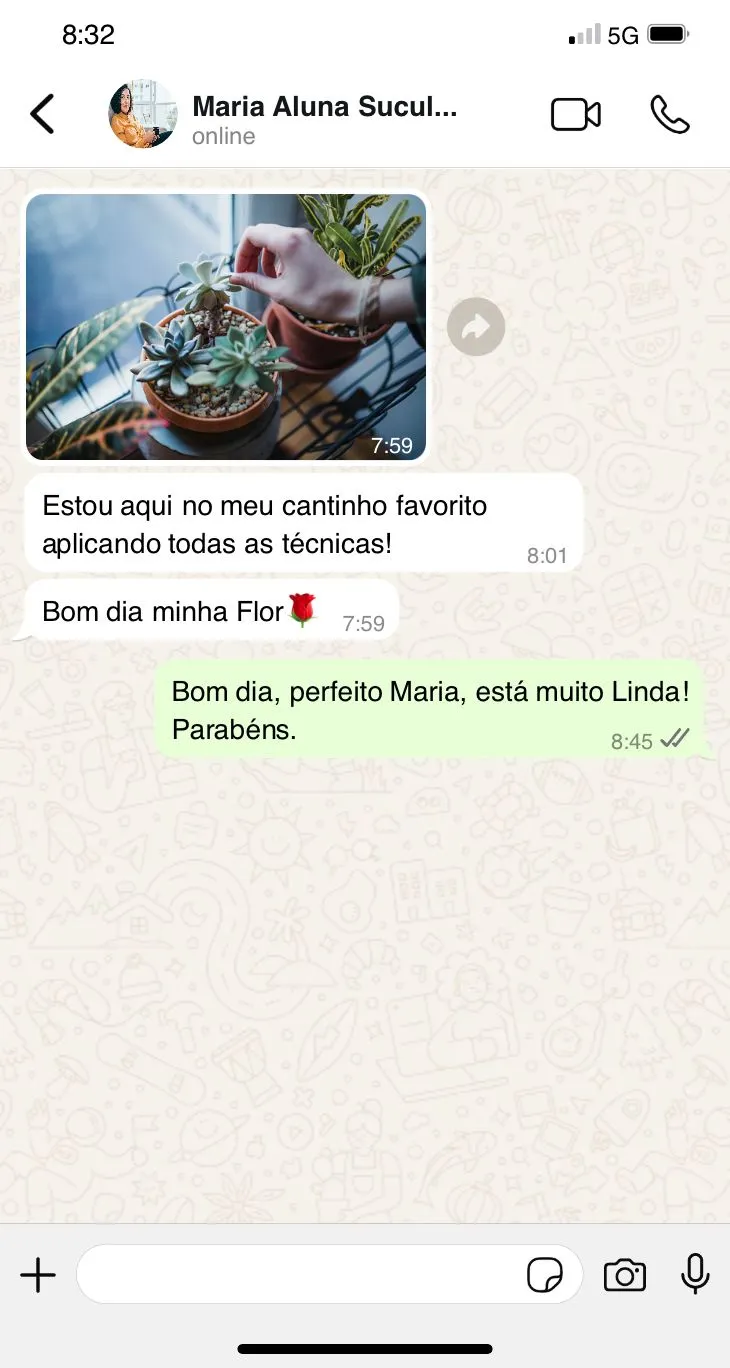 Print WhatsApp 03 - depoimento de aluna