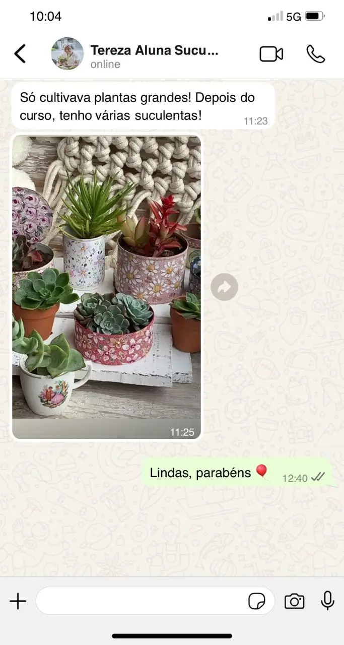 Print WhatsApp 04 - depoimento de aluna