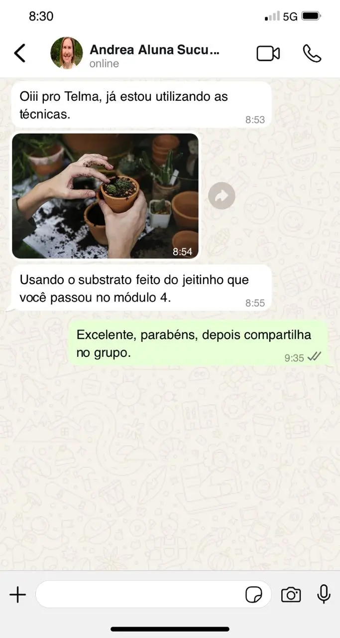 Print WhatsApp 06 - depoimento de aluna