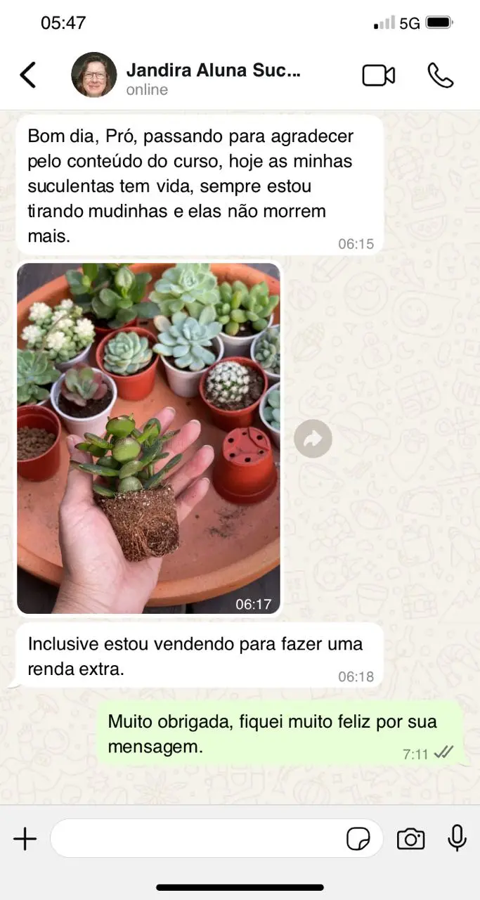 Print WhatsApp 07 - depoimento de aluna