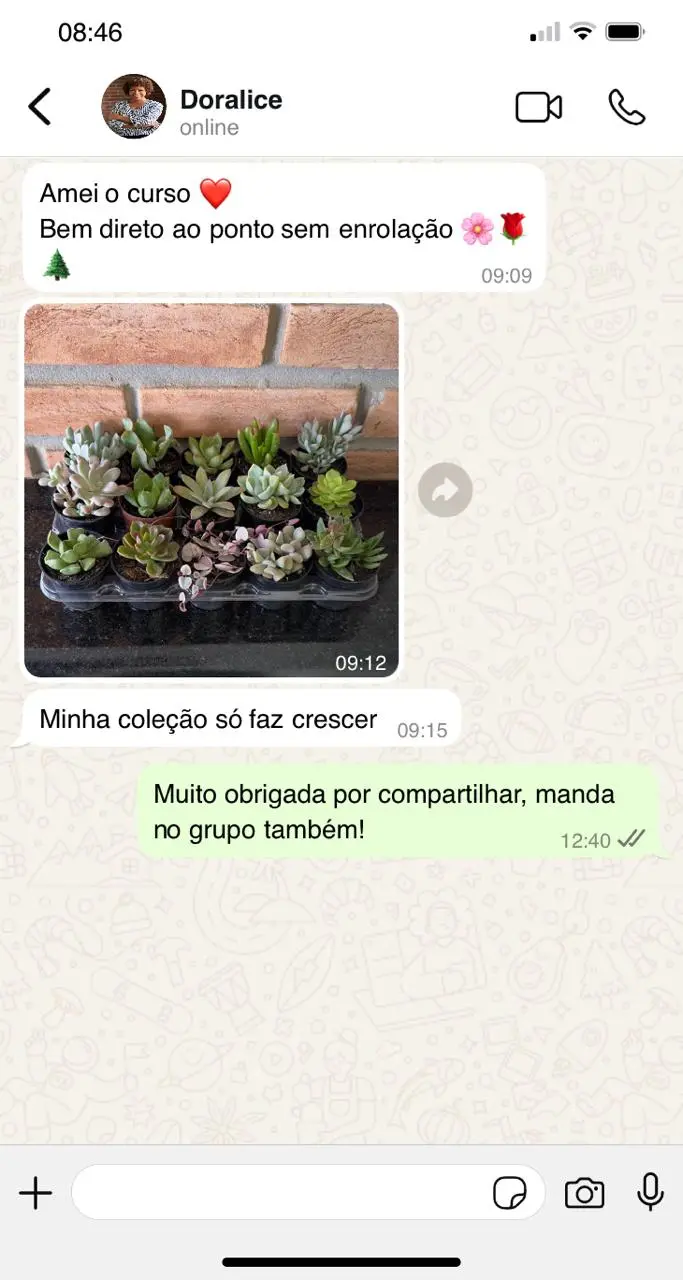 Print WhatsApp 08 - depoimento de aluna