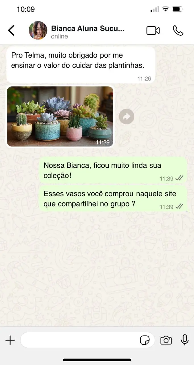 Print WhatsApp 09 - depoimento de aluna