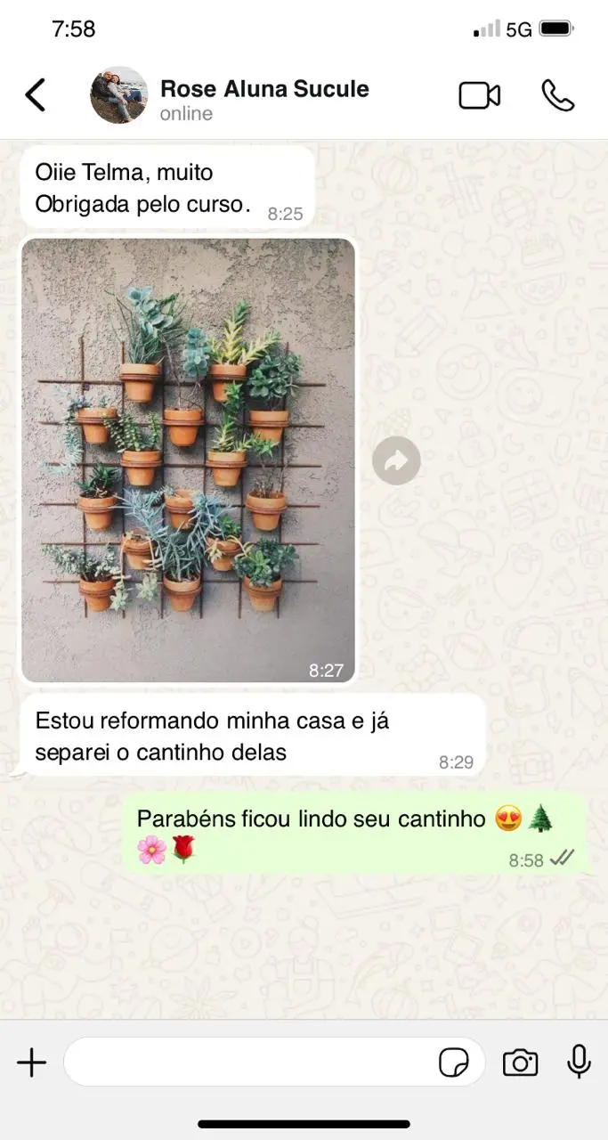 Print WhatsApp 10 - depoimento de aluna